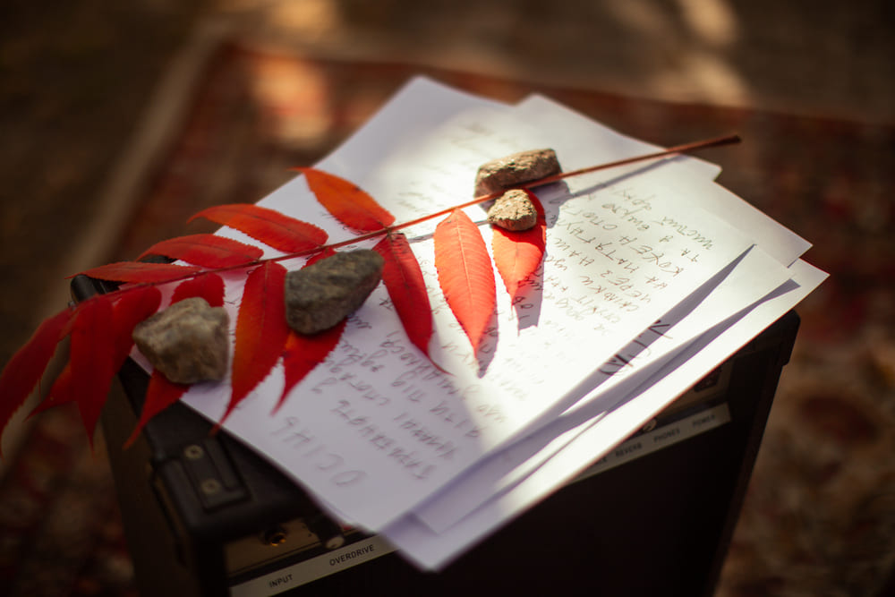 осінь пише ромоза